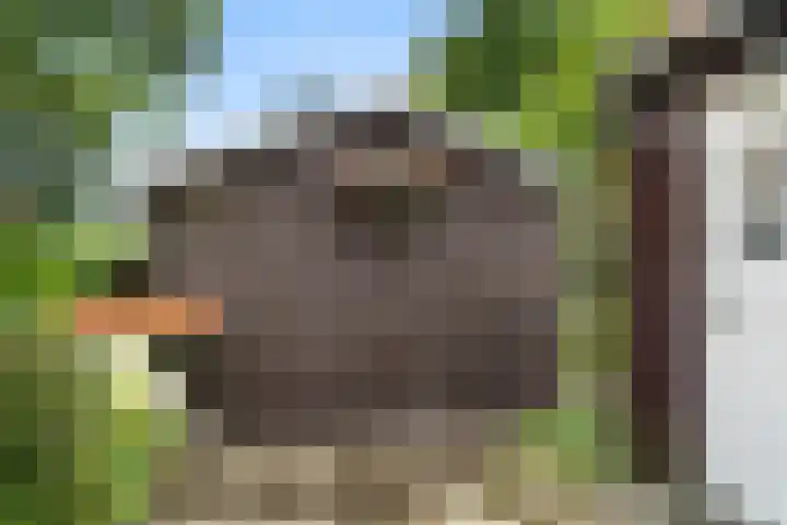 Hartenseweg 12 Renkum thumbnail 4
