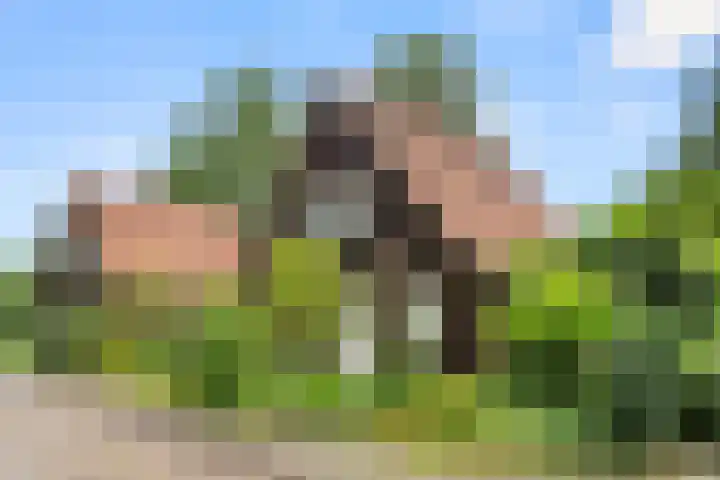 Hartenseweg 12 Renkum thumbnail 49