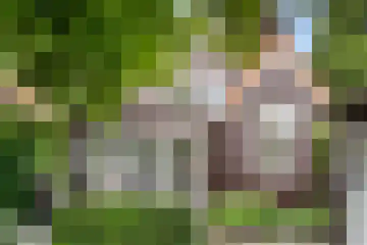 Hartenseweg 12 Renkum thumbnail 5