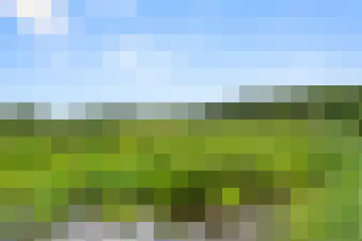 Hartenseweg 12 Renkum thumbnail 50