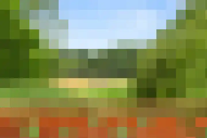 Hartenseweg 12 Renkum thumbnail 51