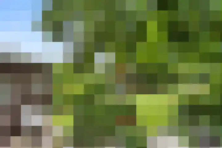 Hartenseweg 12 Renkum thumbnail 6