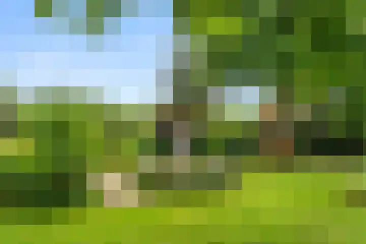 Hartenseweg 12 Renkum thumbnail 7