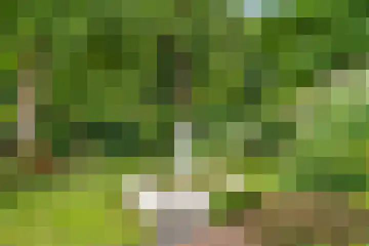 Hartenseweg 12 Renkum thumbnail 8
