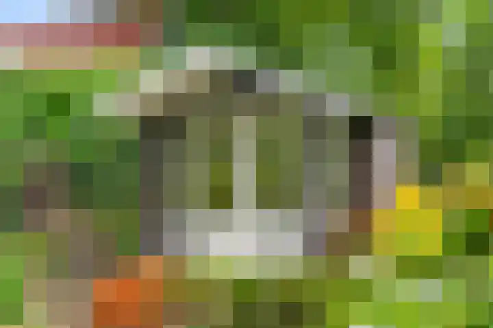 Hartenseweg 12 Renkum thumbnail 9