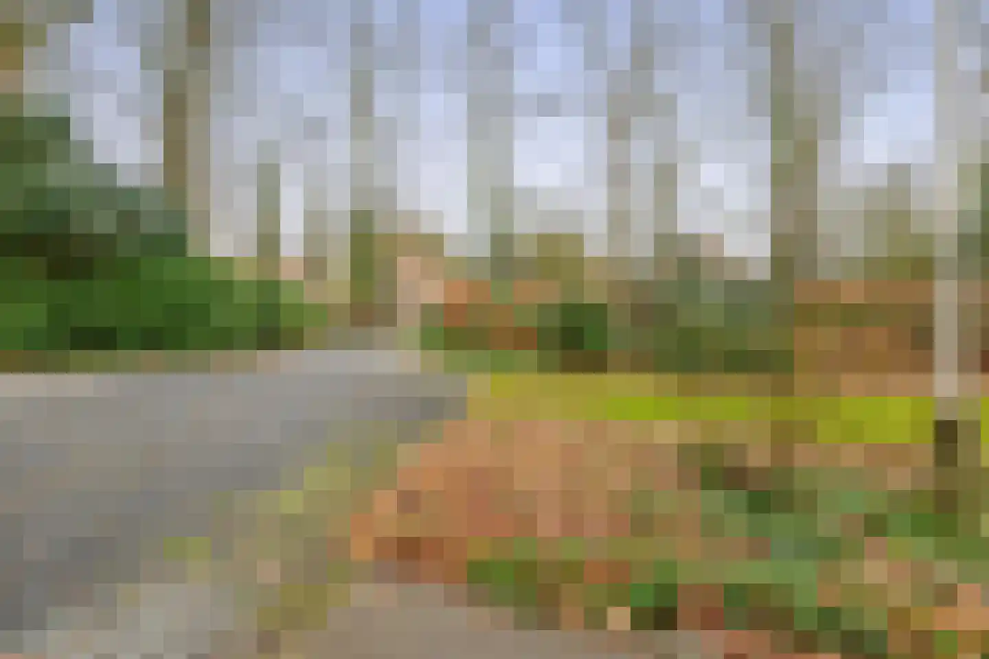 Hartenseweg 3 Wageningen thumbnail 5