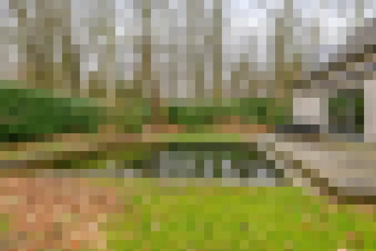 Hartenseweg 3 Wageningen thumbnail 51