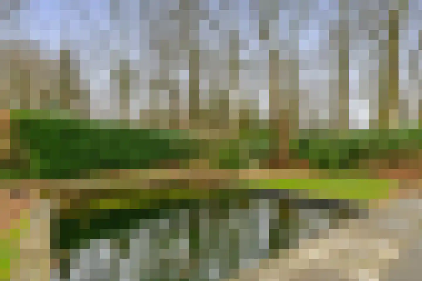 Hartenseweg 3 Wageningen thumbnail 52