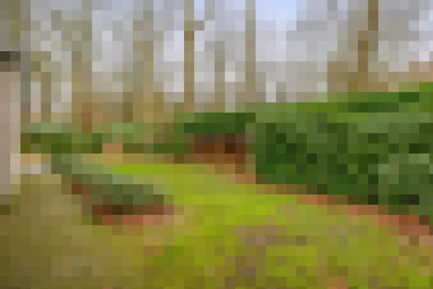 Hartenseweg 3 Wageningen thumbnail 54