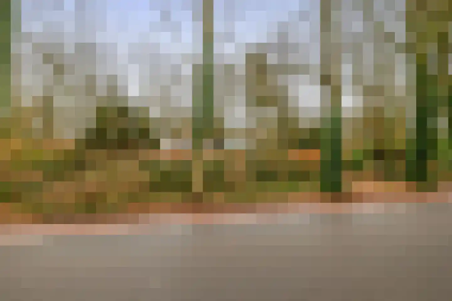 Hartenseweg 3 Wageningen thumbnail 55