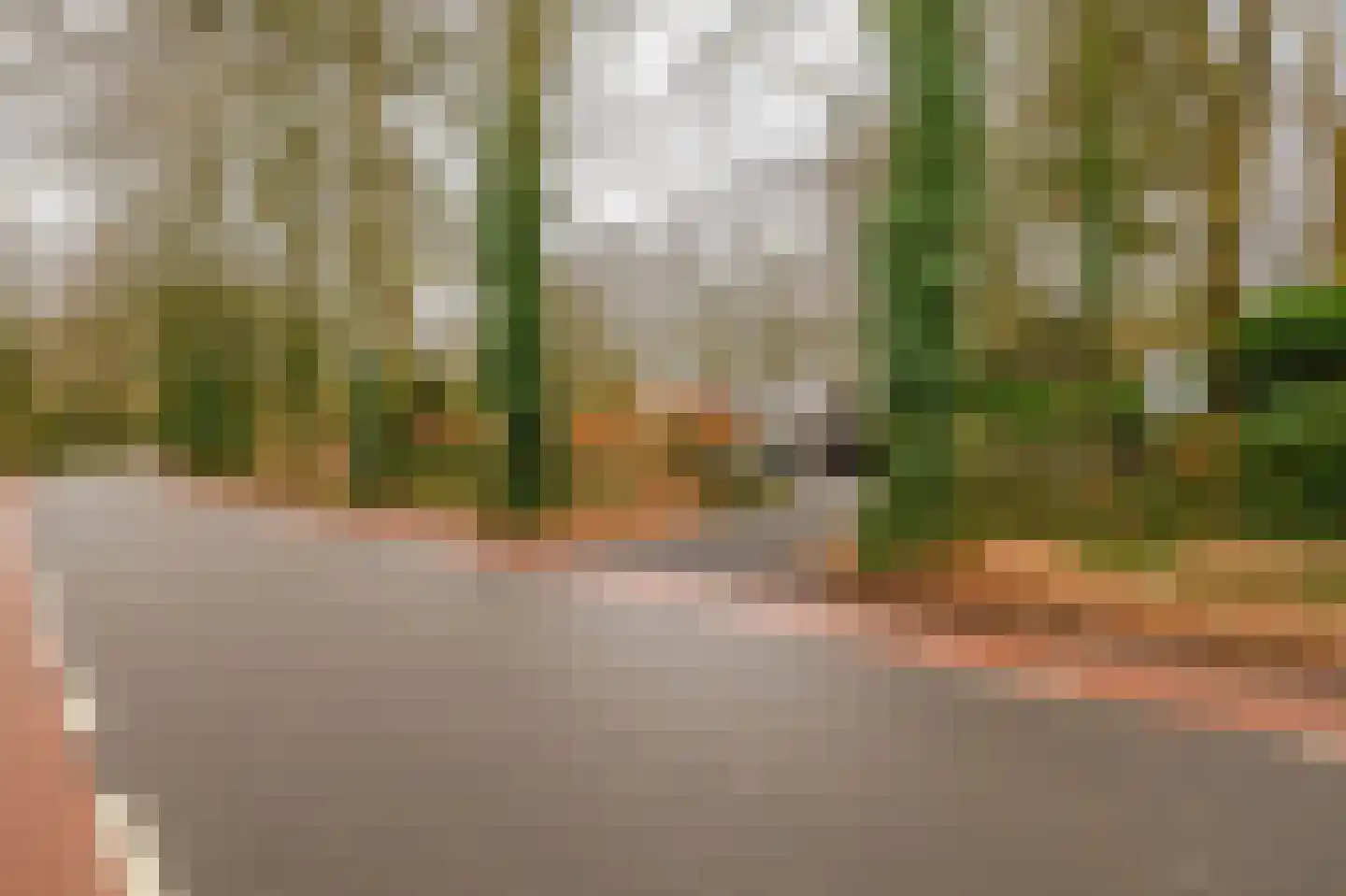 Hartenseweg 3 Wageningen thumbnail 57