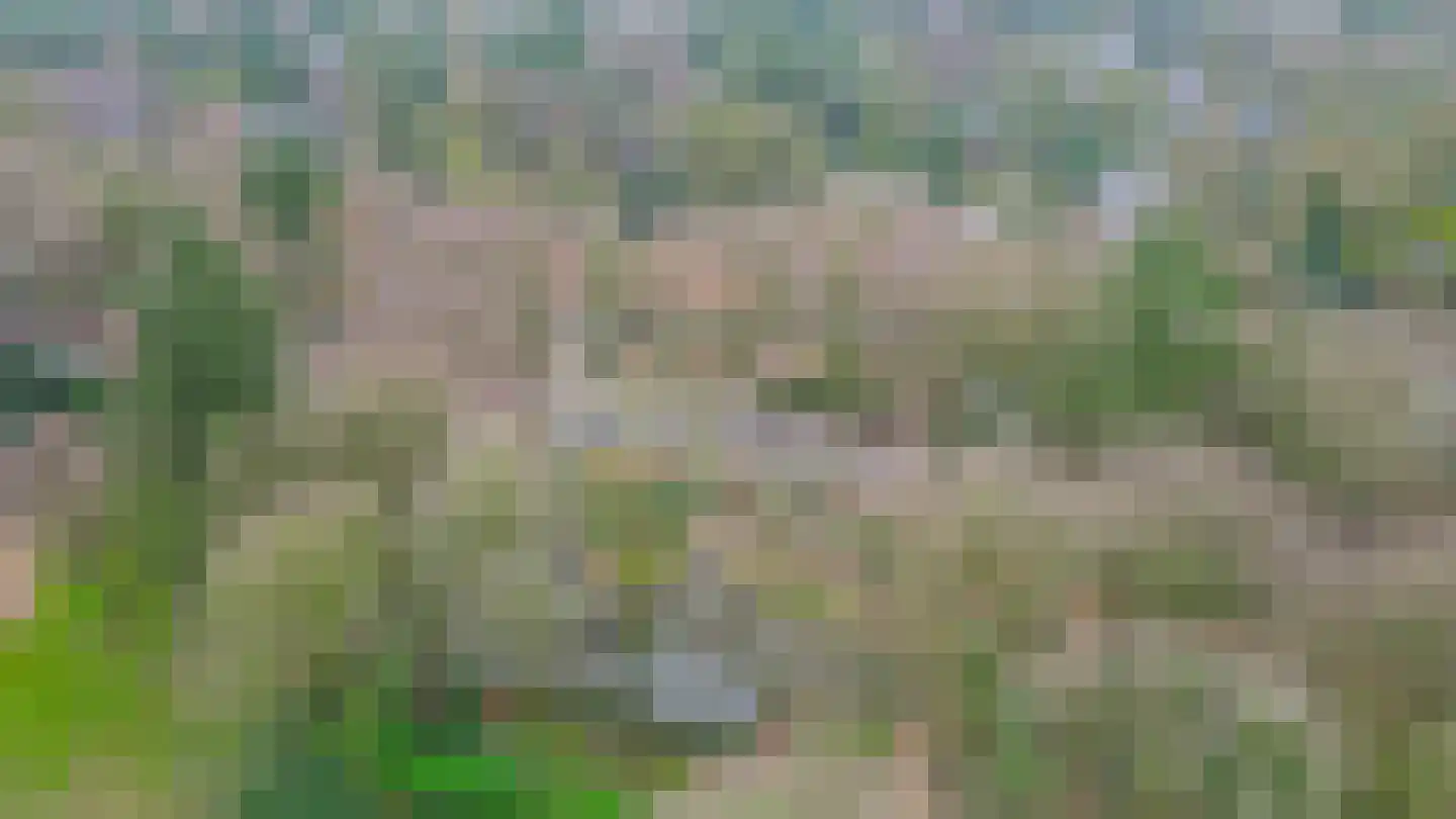 Hartenseweg 3 Wageningen thumbnail 59