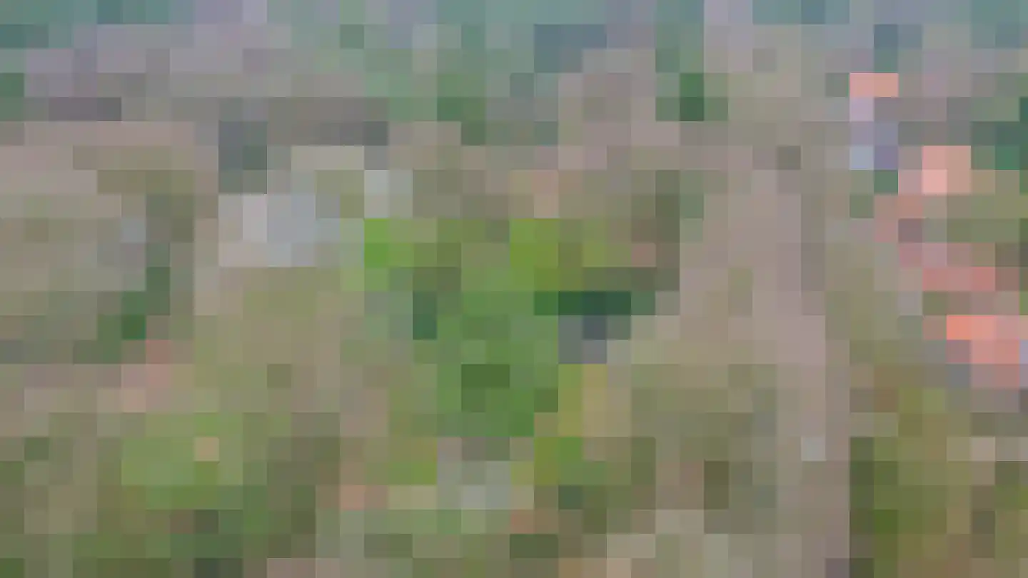 Hartenseweg 3 Wageningen thumbnail 60