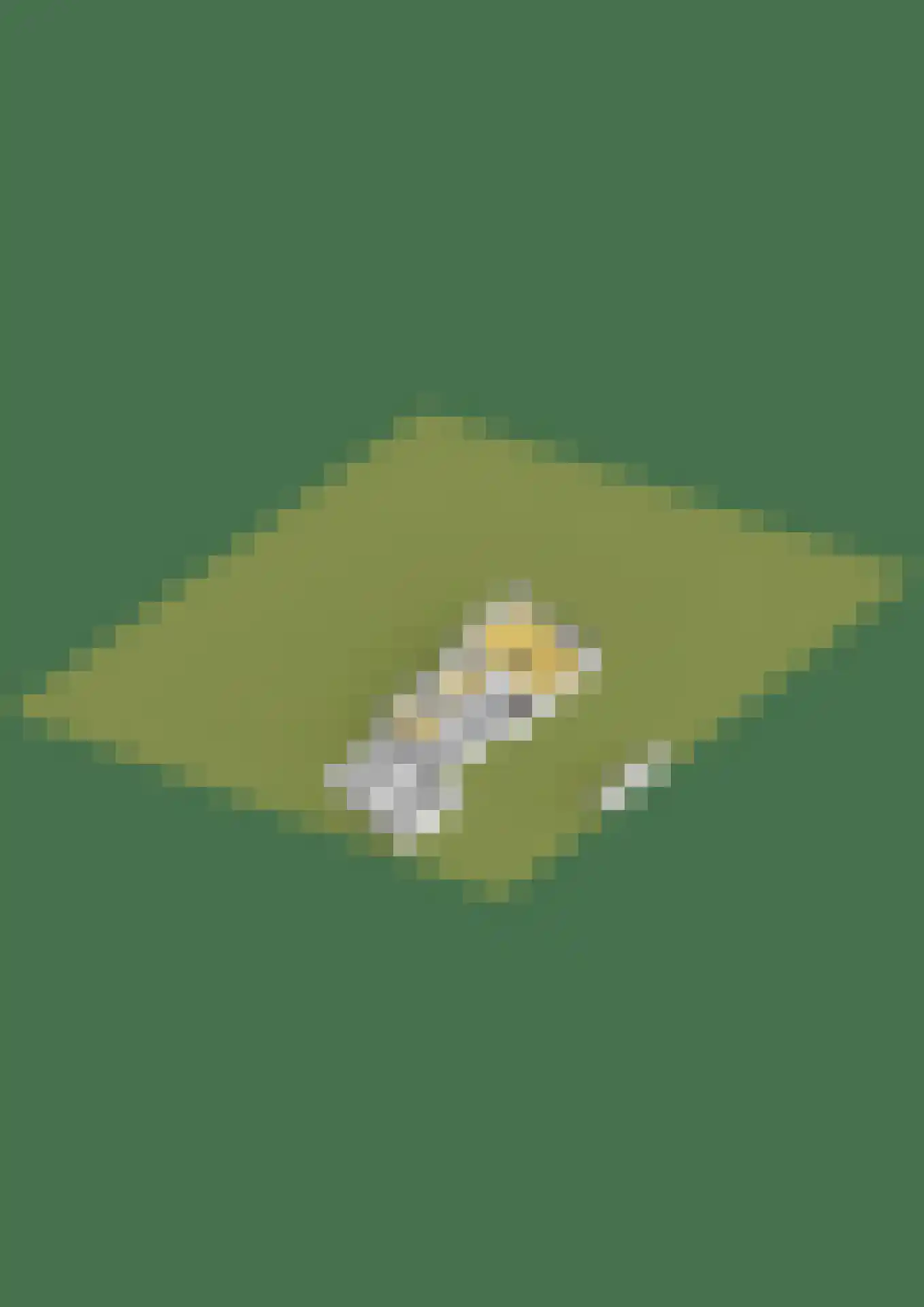 Hartenseweg 3 Wageningen thumbnail 69