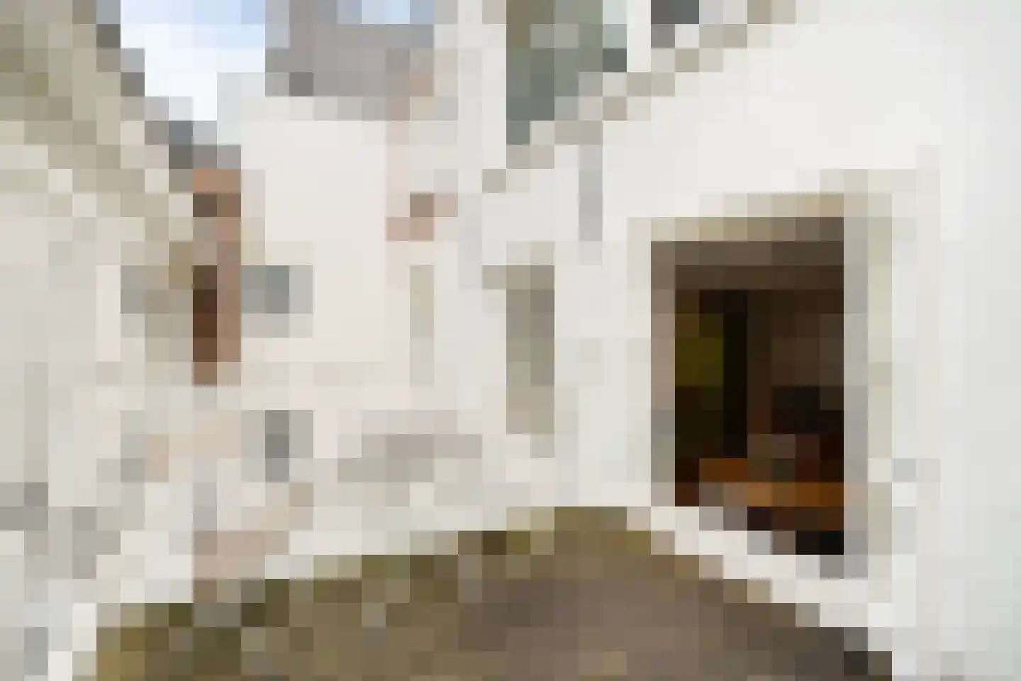 Hartenstraat 5 A Amsterdam thumbnail 9