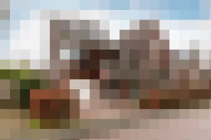 Hartenveld 10 Almere