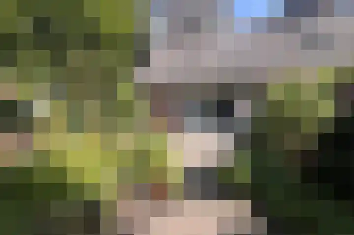 Hartenveld 13 Almere thumbnail 32