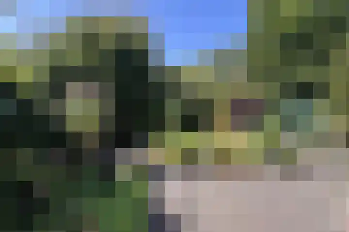 Hartenveld 13 Almere thumbnail 33