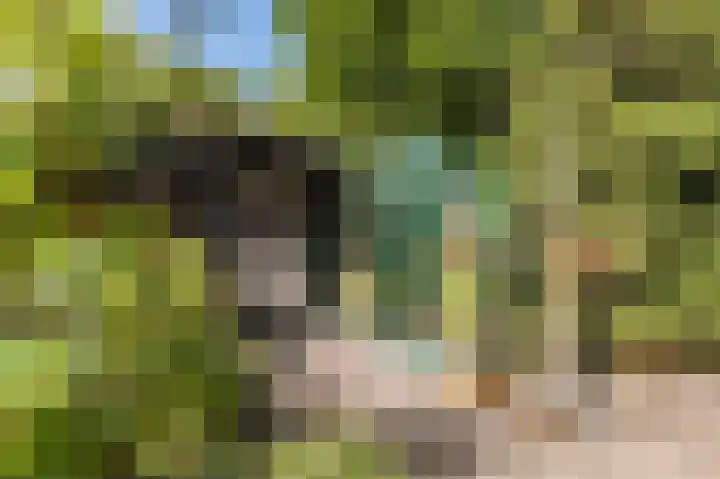 Hartenveld 13 Almere thumbnail 34