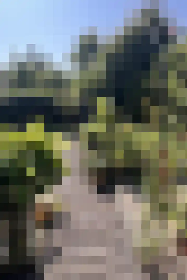 Hartenveld 13 Almere thumbnail 39