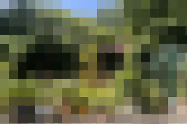 Hartenveld 13 Almere thumbnail 40