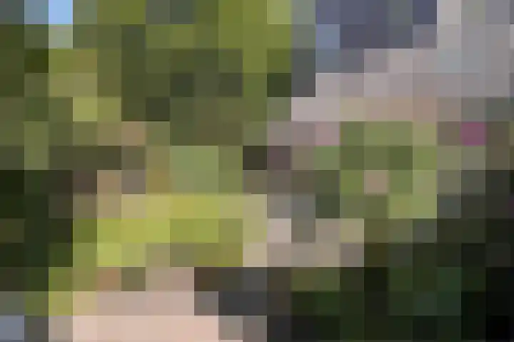 Hartenveld 13 Almere thumbnail 41
