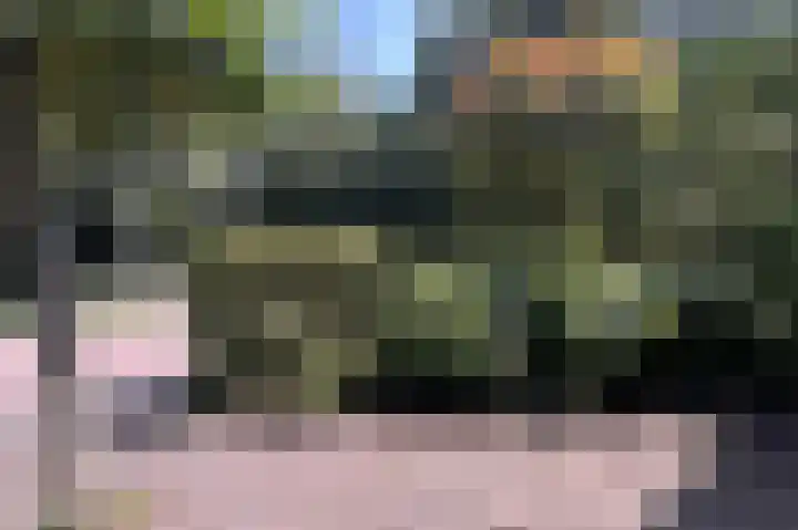 Hartenveld 13 Almere thumbnail 5
