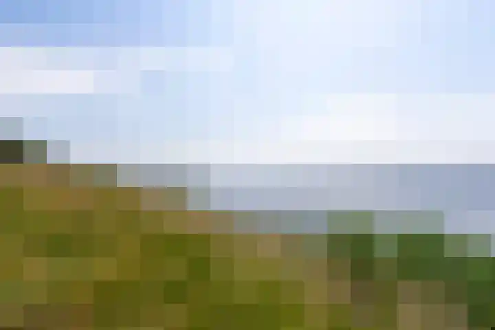 Hartenveld 28 Almere thumbnail 59