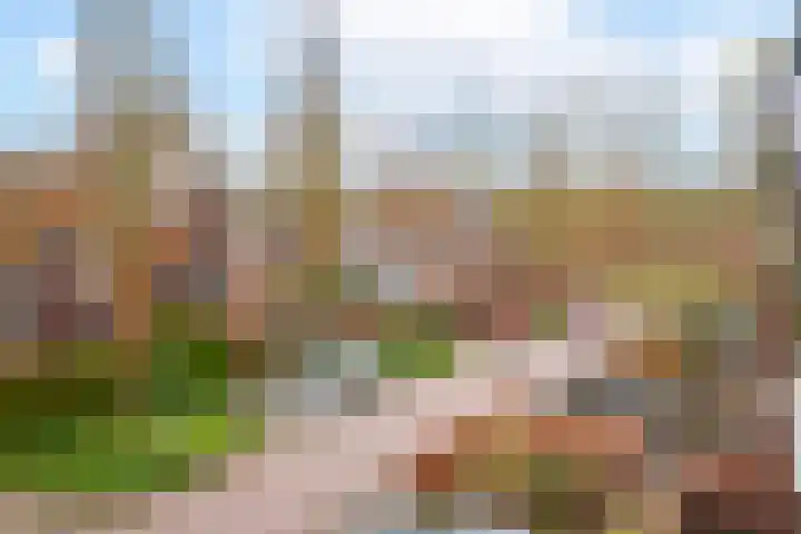 Hartenveld 36 Almere thumbnail 22