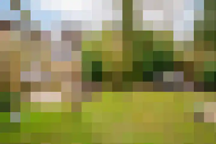 Hartenveld 36 Almere thumbnail 32