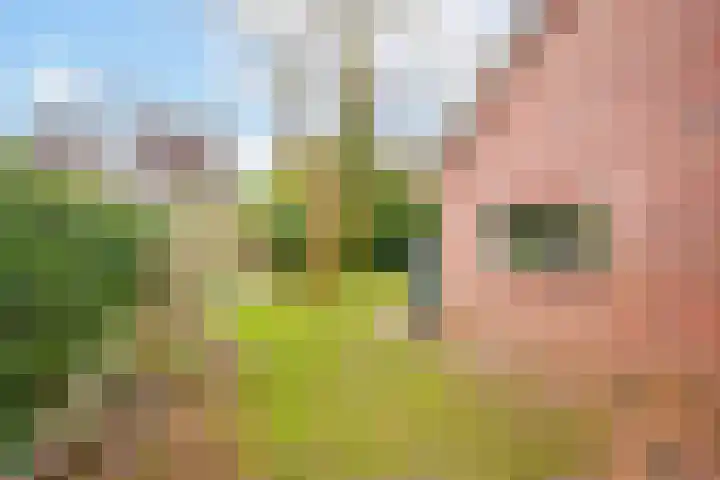 Hartenveld 36 Almere thumbnail 35