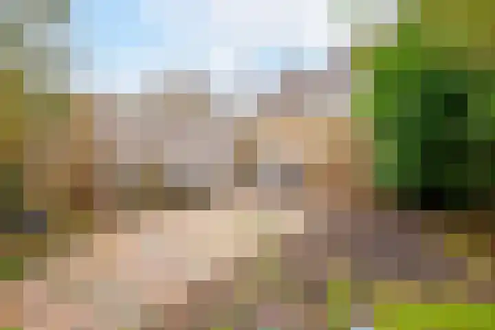Hartenveld 36 Almere thumbnail 36
