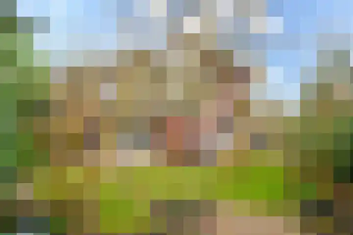 Hartenveld 36 Almere thumbnail 37