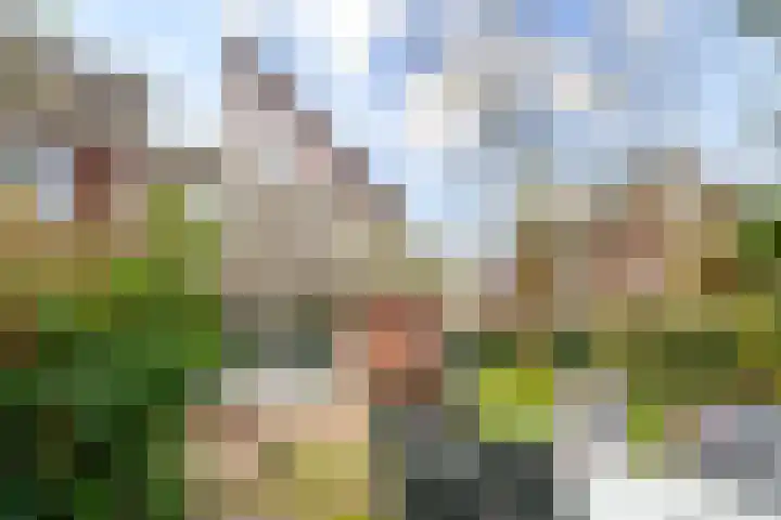 Hartenveld 36 Almere thumbnail 38