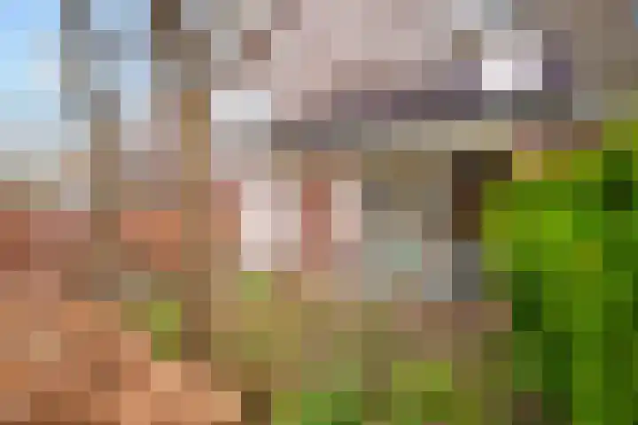 Hartenveld 36 Almere thumbnail 39