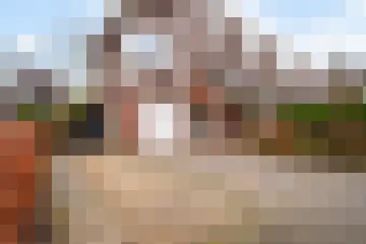 Hartenveld 36 Almere thumbnail 41