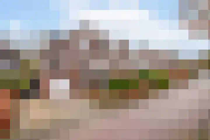 Hartenveld 36 Almere thumbnail 44