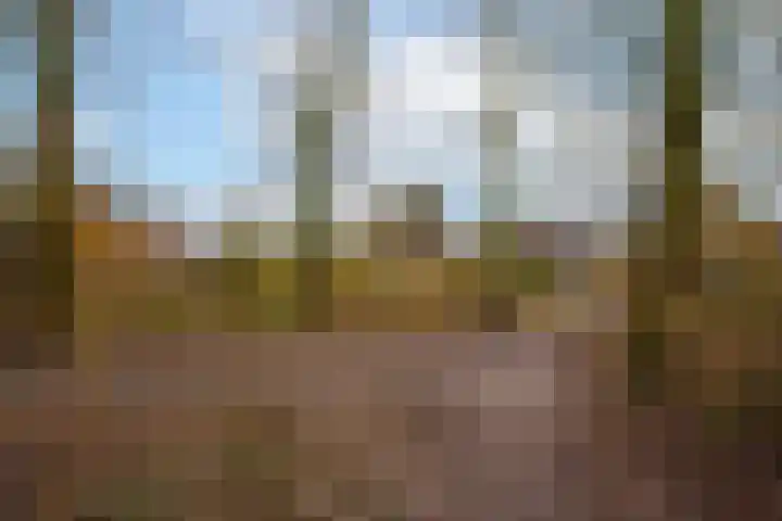 Hartenveld 36 Almere thumbnail 51