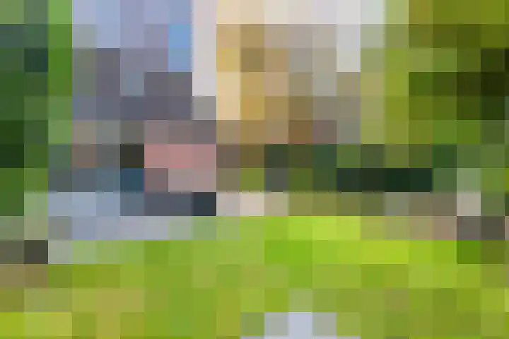 Hartenveld 43 Almere thumbnail 7