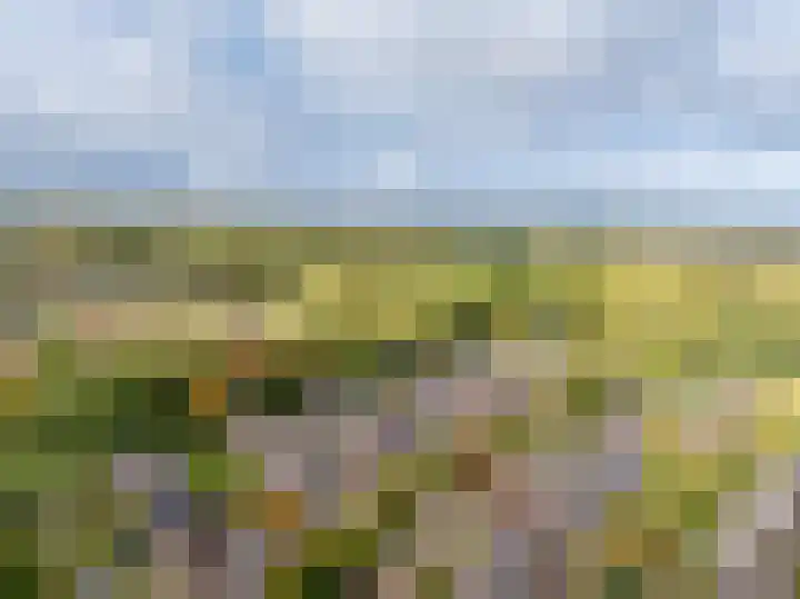 Hartenveld 43 Almere thumbnail 14