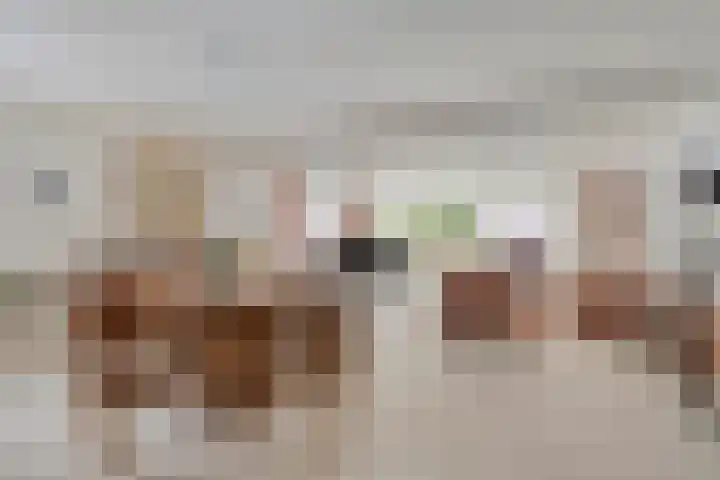 Hartenvier 1 Best foto 2