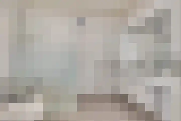 Hartenvier 1 Best thumbnail 26