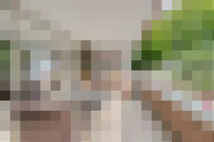 Hartenvier 1 Best thumbnail 27