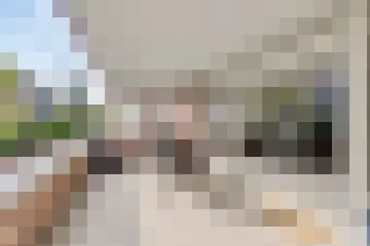 Hartenvier 1 Best thumbnail 28