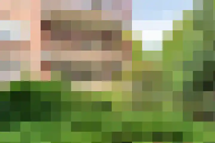 Hartenvier 1 Best thumbnail 30