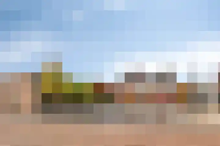 Hartenvier 1 Best thumbnail 33