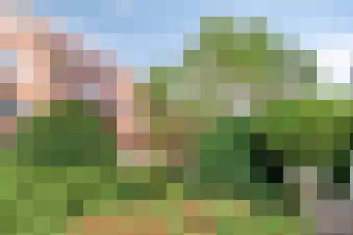 Hartenvier 1 Best thumbnail 7