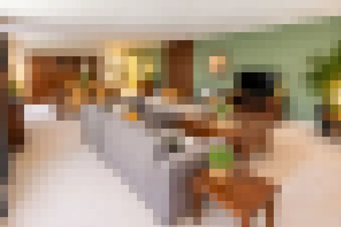 Hartenvier 35 Best thumbnail 14