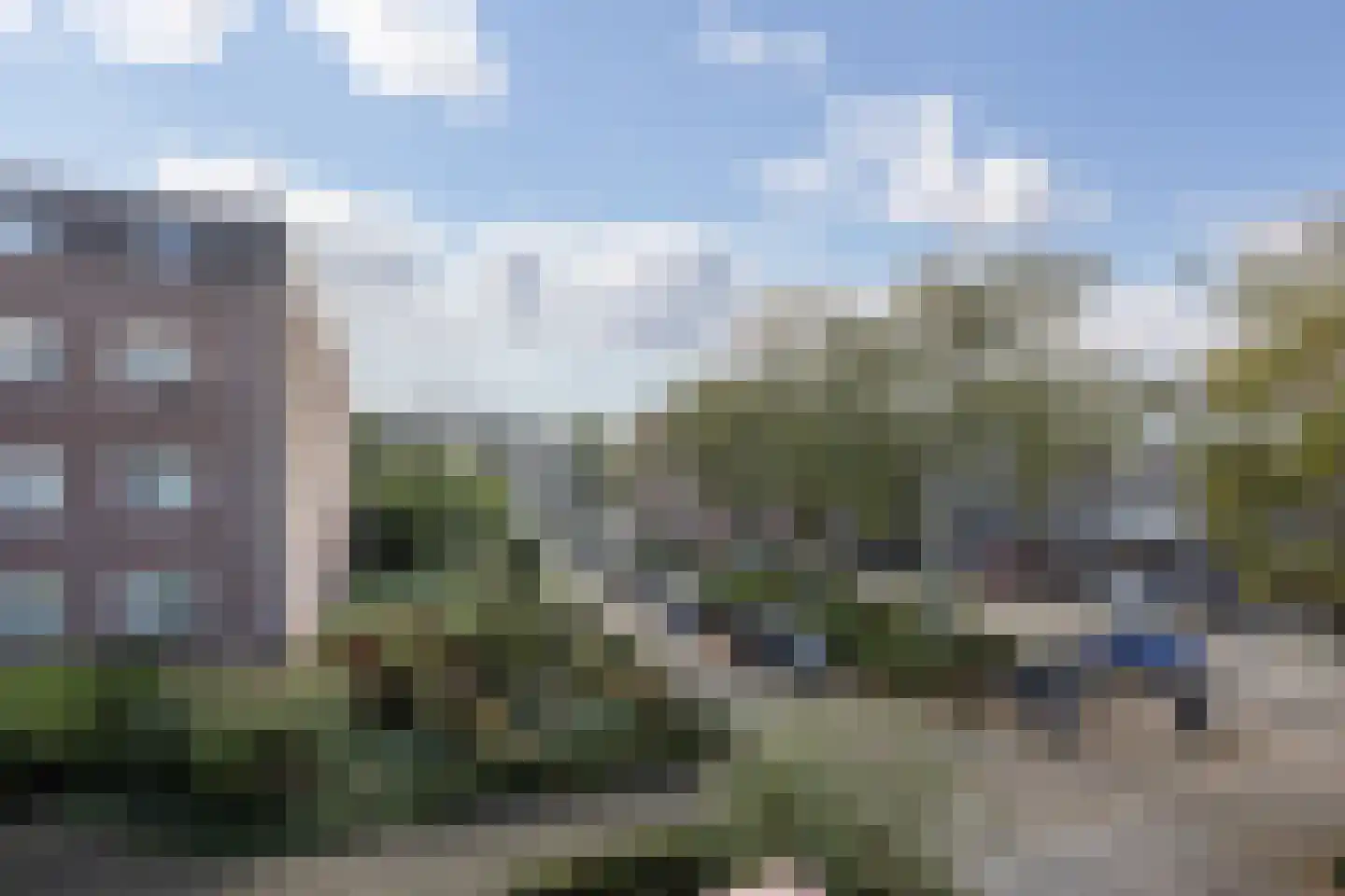 Hartenvier 35 Best thumbnail 17