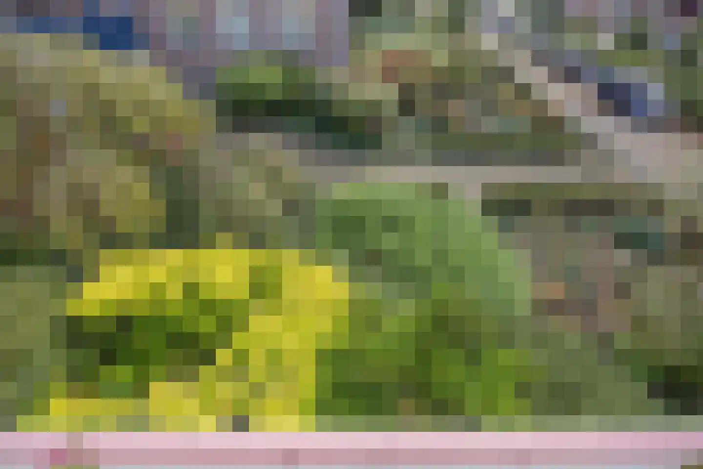 Hartenvier 35 Best thumbnail 18